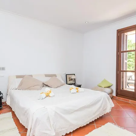 Turixant Dalt Mancor del Valle